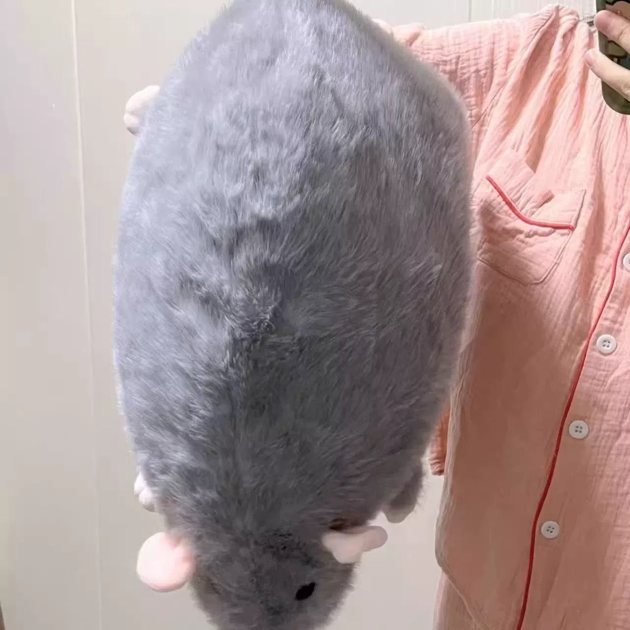 Chonky Rat Plushie 🐀
