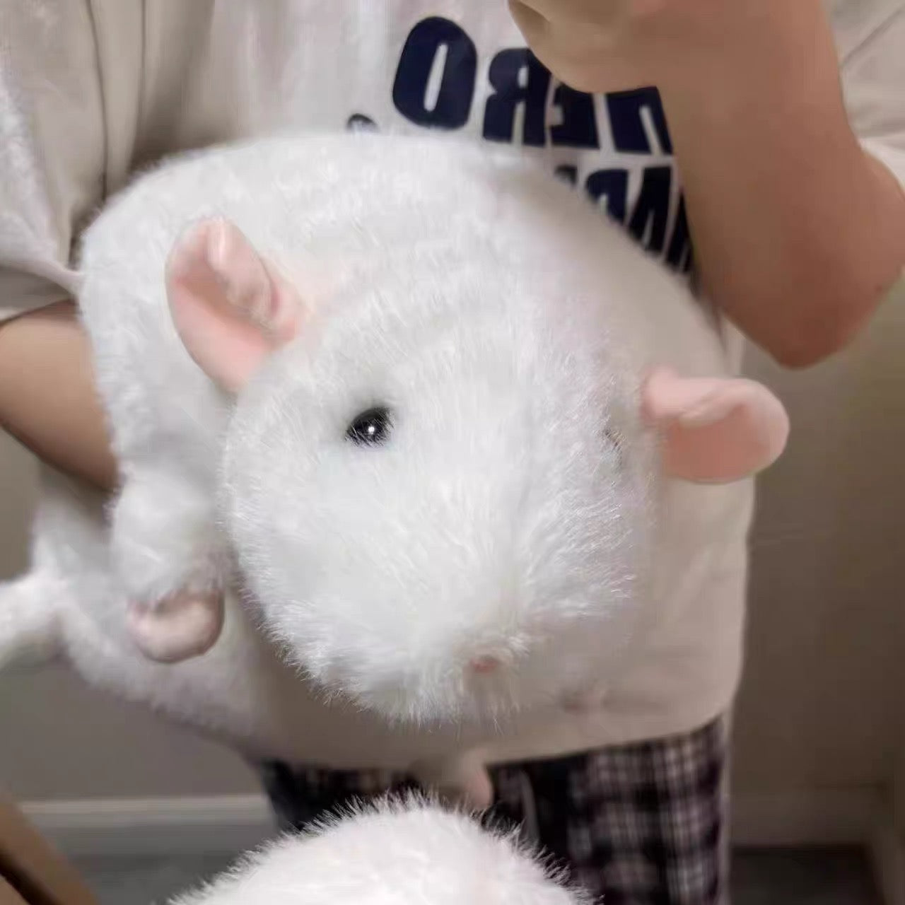 Chonky Rat Plushie 🐀
