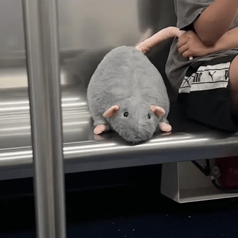 Chonky Rat Plushie